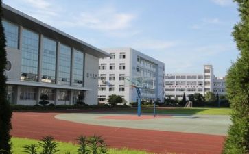 我的胸校园作文优质8篇