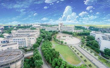 校园报告总结报告模板5篇