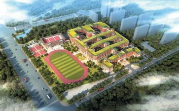 校园跑总结报告5篇
