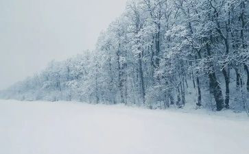 小学生写下雪作文7篇
