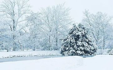 下雪小班活动教案5篇