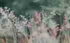 写景小学生作文优秀5篇