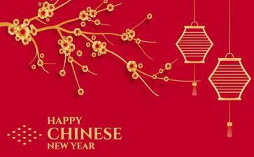 新的一年财务工作计划7篇