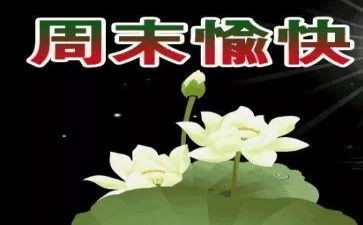那个星期天教案6篇