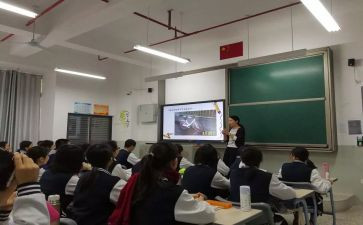 新课改小学数学心得体会5篇
