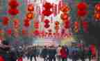 中班过新年教案精选6篇