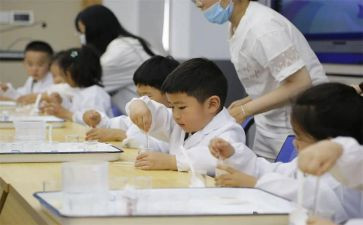 大一新生上学期个人总结6篇