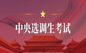 选调工作总结7篇