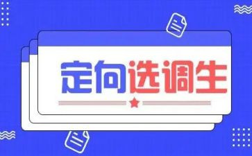 选调个人总结6篇