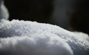 雪优秀作文500字通用7篇