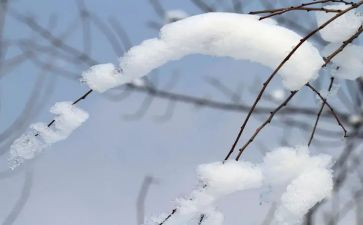 小学生关于雪的作文推荐7篇
