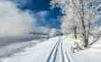 小学生关于雪的作文优质8篇