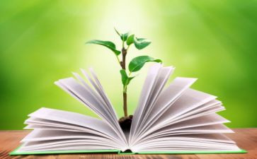 2024中学教学工作总结报告6篇