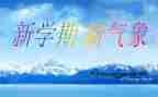 本学期教师工作总结范文精选5篇