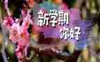 卫生部新学期工作计划8篇