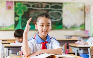 2023教师学习心得模板5篇