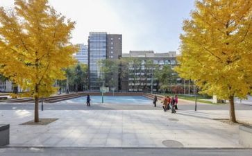 学校防近月工作计划优质5篇