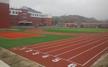 对学校的总结报告优秀8篇