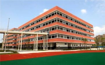 学校教师活动方案精选7篇