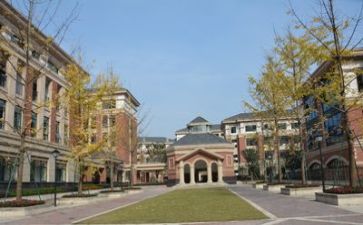 学校教师个人总结7篇