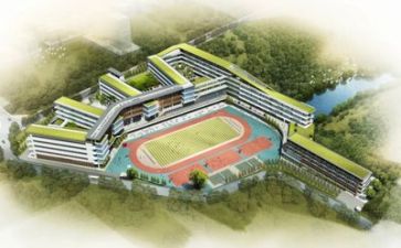 对学校的总结报告最新5篇