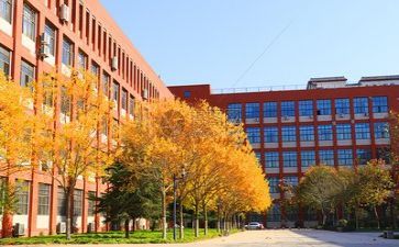 学校校长月工作总结5篇