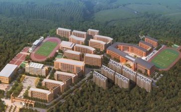 对学校的总结报告模板5篇