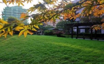 学校培训工作计划范文最新6篇