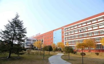 学校系年度工作计划模板8篇