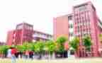 2024年学校个人总结7篇