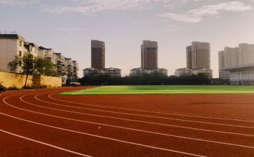 区学校体育工作计划优秀8篇