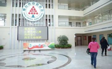 2024年血站工作总结7篇