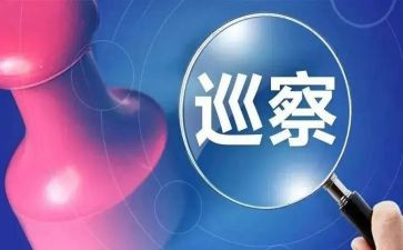 巡察组组长个人总结6篇