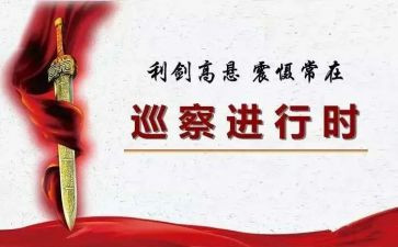 居巡察工作总结推荐7篇