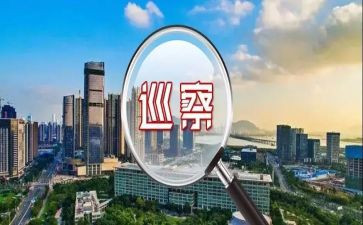 巡察干部工作的工作总结6篇