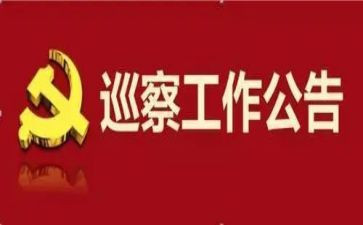 居巡察工作总结5篇
