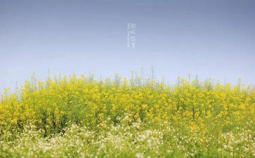 小学生作文叙事作文8篇