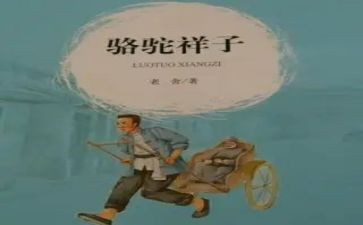 骆驼的样子心得体会8篇