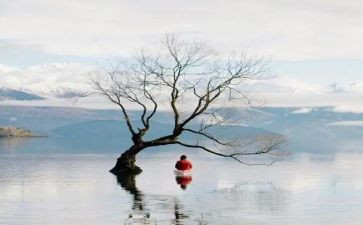 幼儿音乐树叶教案8篇