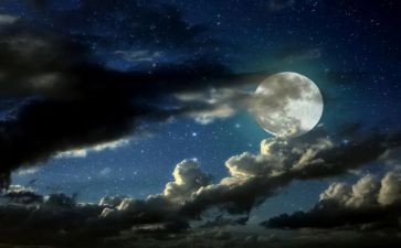《一千零一夜》的读后感7篇