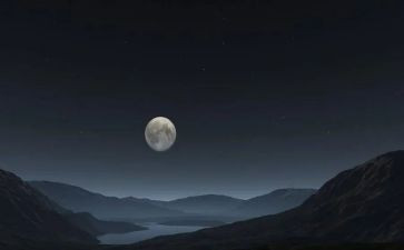 乡村的夜晚作文5篇