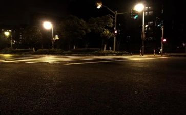 夏天的夜晚作文500字5篇