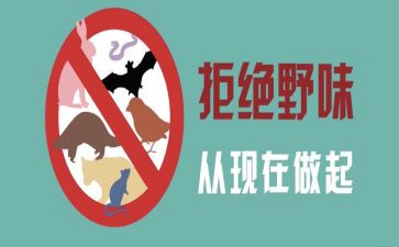 野味演讲稿6篇