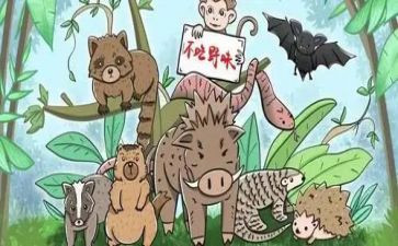 敬畏自然,拒绝野味作文7篇
