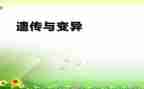 遗传与变异教案6篇