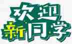 2024年幼儿园迎新活动方案精选8篇