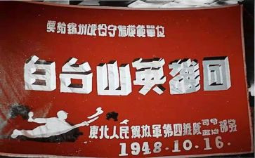 爱国英雄事迹材料5篇