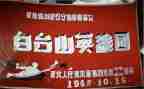 爱国英雄事迹材料5篇
