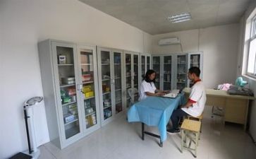 医院医务科个人年度总结5篇