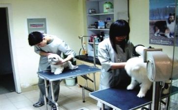 医院半年总结报告5篇